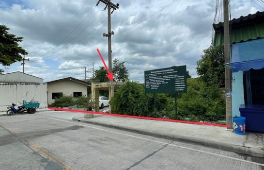 �ط����� �� panaya.opalopal