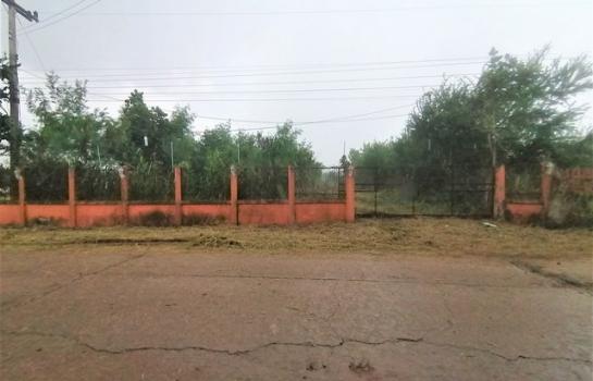 ��ª������ �� compos2566