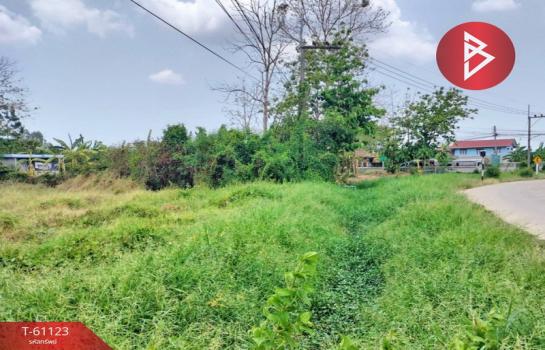 ��ɳ��š �� The Best Property Agent