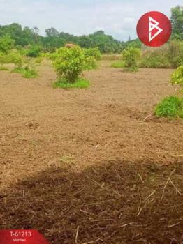 ��§���� �� The Best Property Agent