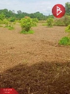 ��·��Թ �Ҥһ�С�Ȣ�� 4,900,000 �ҷ