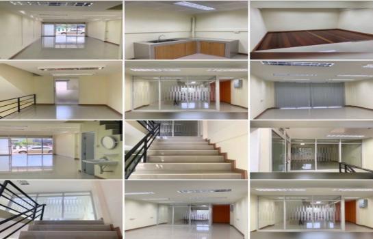 �ҧ���� �� Agent Support