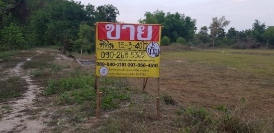 ˹ͧ��� �� zionasset1