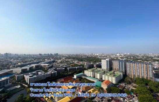 ����Ѳ�� �� Theproperty