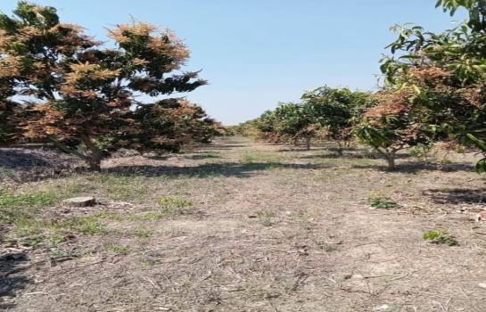 ������� �� northern1