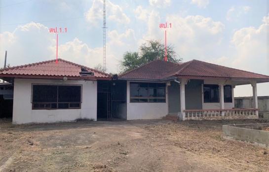 ��¾ԨԵ� �� panaya.opalopal