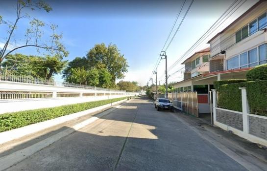 ����Ѳ�� �� HarrisonTH