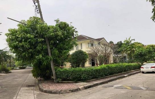 ��ا෾ �� Danial Danderm