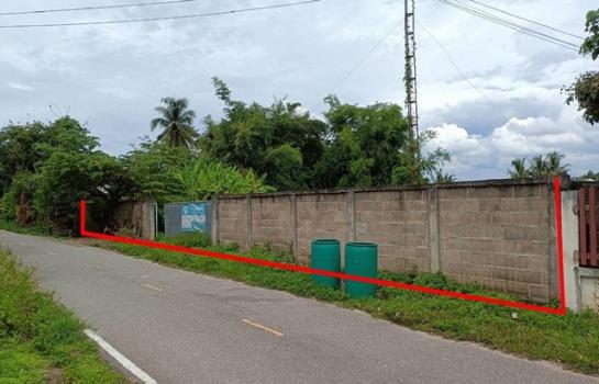 �ҧ ��§���� �� compos2566