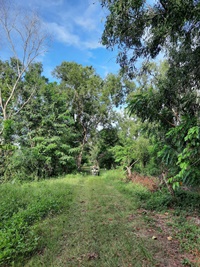 ���ͧ �� ����ѷ �����൷ ��ਹ���(�������) �ӡѴ