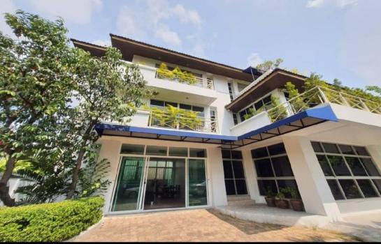 ���� �� AssetD4U