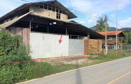 ����� �� panaya.opalopal