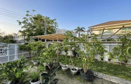 ��ҹ��ͧ�� �� coasset22