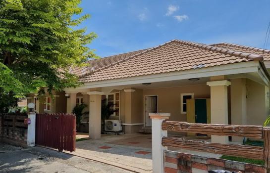 ��ҹHospital ���⤡