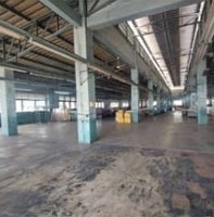 �չ���� �� Kong property