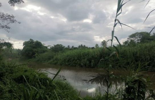 ���ᵧ �� onanong khumaphao