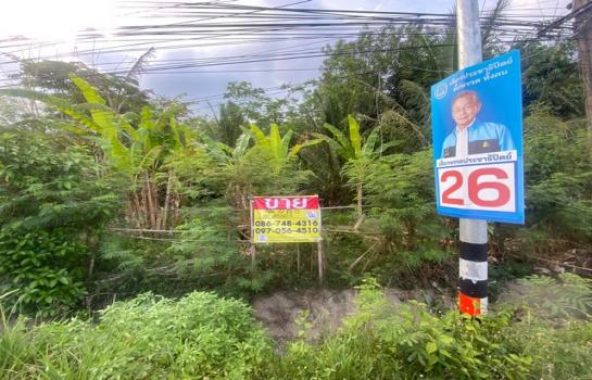 �Ҵ�˭� �� zionasset1