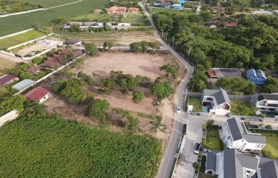 ��� �� sopa