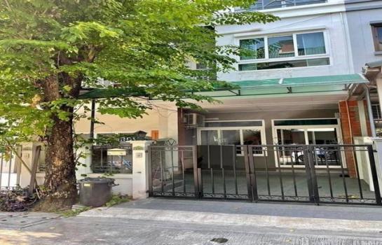 �ҧ�л� �� asangha PL