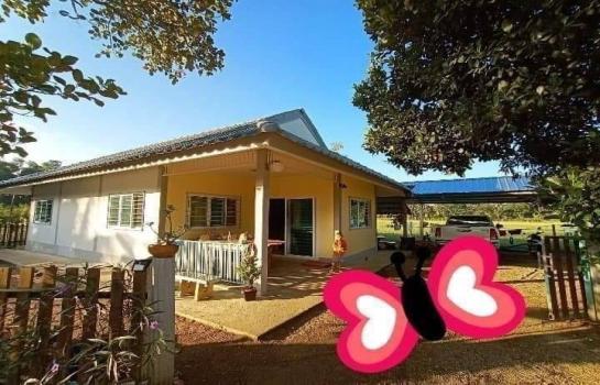 ���ᵧ �� onanong khumaphao