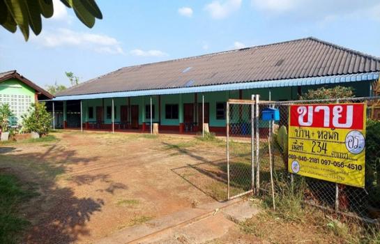 ˹ͧ��� �� zionasset1