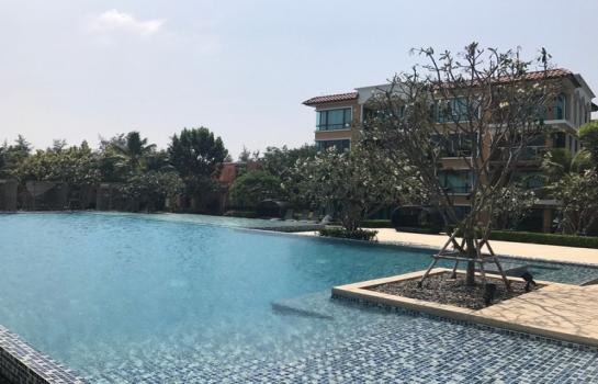 �͹ⴻ�ШǺ���բѹ�� 101 ���ҧ����