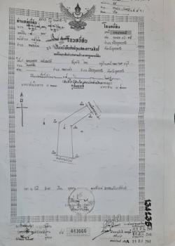 ����شøҹ� �� sopa