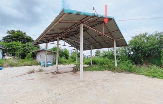 �Ҵ��� �� panaya.opalopal