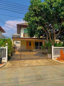 ��ҹ�� �� 100webfed