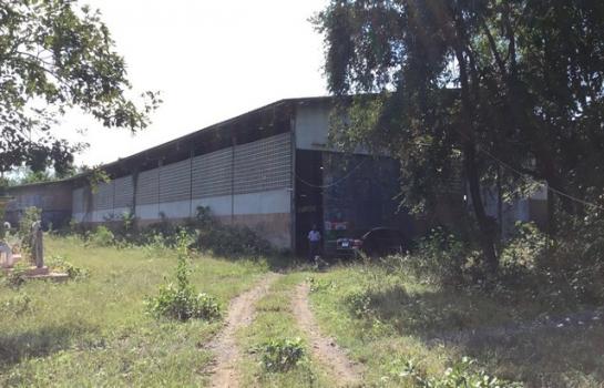 ����Ҫ���� �� panaya.opalopal