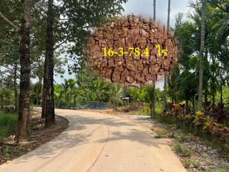 ���Թ ���ͧ 10,000,000 �ҷ