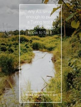 ��·��Թ ��ҹ 850,000 �ҷ