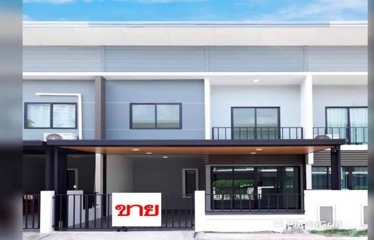 ��ا෾ �� TheEstate78924