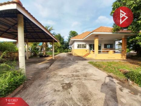 �͹�� �� The Best Property Agent