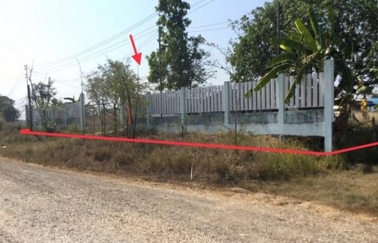 ����Թ �� panaya.opalopal