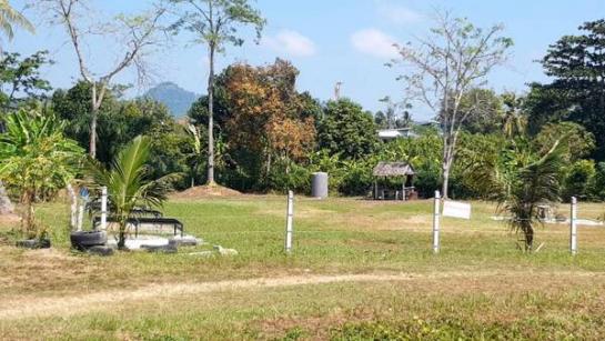 ���� �� Estate Corner