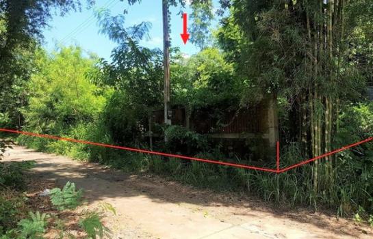 ��§��ҧ �� compos2566