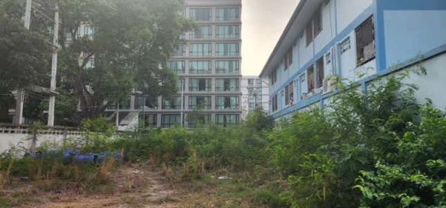 ���ͧ �� A House property