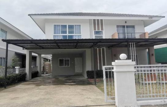 �Ң�ѭ �Ź�����