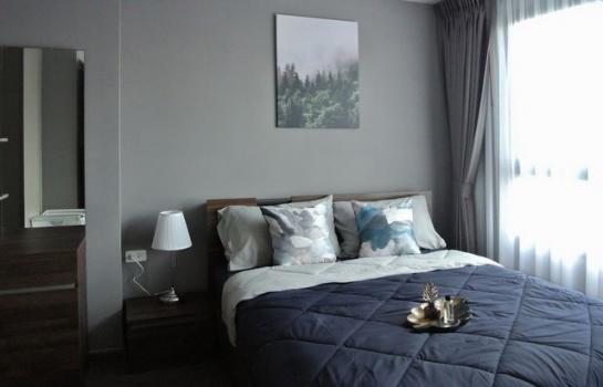 ��ا෾ �� auipost63