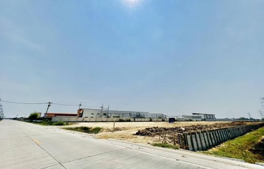 ��� �� rattana27