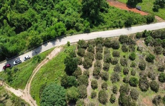 �ҧ�� �� onanong khumaphao