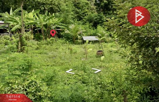 ��ɳ��š �� The Best Property Agent