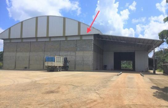 ��¾���� �� panaya.opalopal