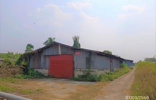 ��¾���� �� panaya.opalopal