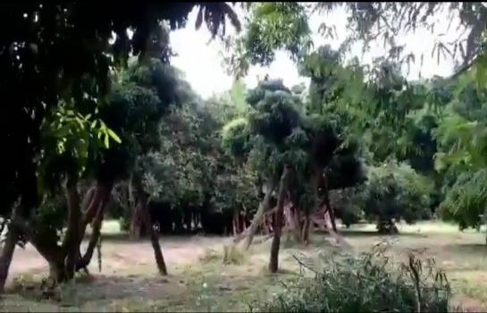 ������ �� onanong khumaphao