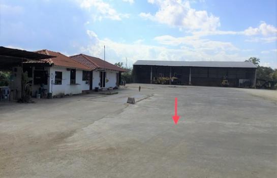 ��¾���� �� panaya.opalopal