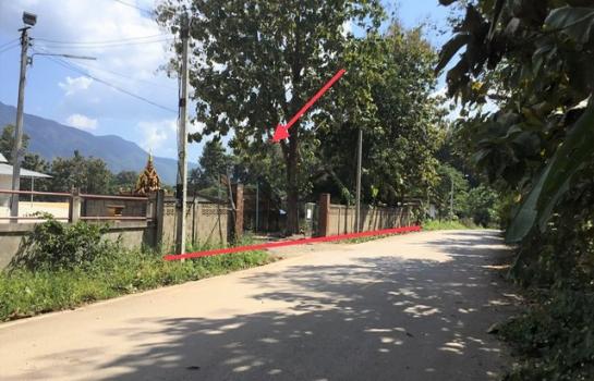 ��¾���� �� panaya.opalopal