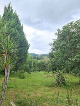 ���ᵧ �� onanong khumaphao