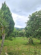  ���Թ ���ᵧ ��§����